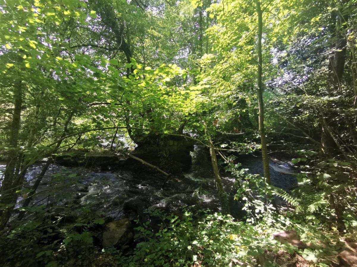 Domaine Lvd Avec Spa, Bois Et Riviere Privee La Bloutiere Exterior foto